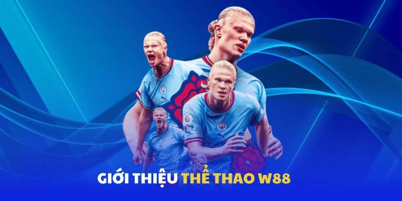 Thể thao W88